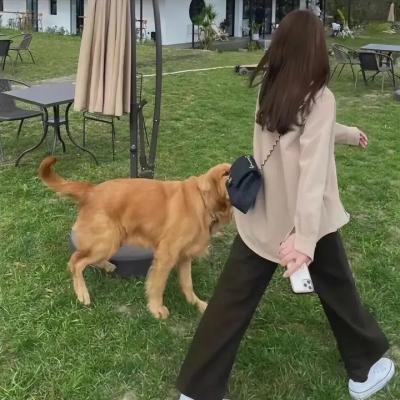 窃心